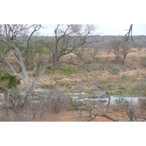 Picture South Africa Kruger National Park Crocodile River 2008-09 67 - Photographer Crocodile River