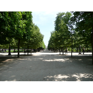 Picture France Paris Garden of Tuileries 2007-05 379 - Discover Garden of Tuileries