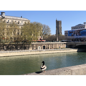 Picture France Paris lockdown 2020-04 173 - Photos Paris lockdown