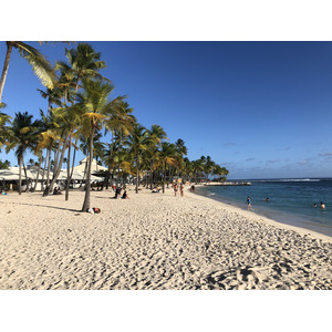 Picture Guadeloupe La Caravelle Beach 2021-02 113 - Sight La Caravelle Beach