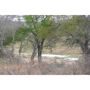 Picture South Africa Kruger National Park Crocodile River 2008-09 11 - Trail Crocodile River