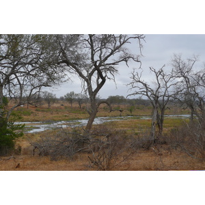 Picture South Africa Kruger National Park Crocodile River 2008-09 3 - View Crocodile River