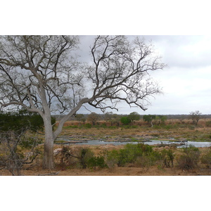 Picture South Africa Kruger National Park Crocodile River 2008-09 4 - Trail Crocodile River