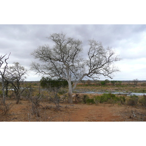 Picture South Africa Kruger National Park Crocodile River 2008-09 15 - Picture Crocodile River