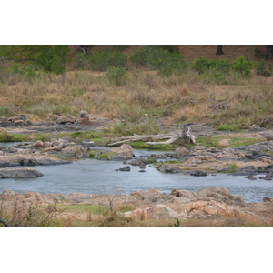 Picture South Africa Kruger National Park Crocodile River 2008-09 23 - Car Rental Crocodile River