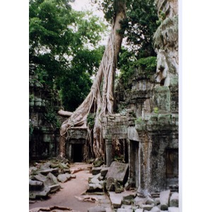 Picture Cambodia Angkor 1996-06 23 - Photographer Angkor