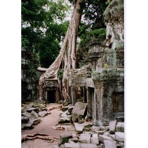 Picture Cambodia Angkor 1996-06 27 - Visit Angkor