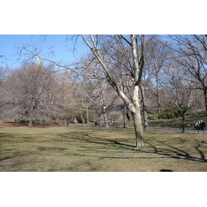 Picture United States New York Central Park 2006-03 50 - View Central Park