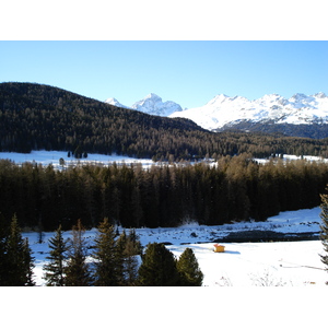 Picture Swiss Pontresina 2007-01 84 - View Pontresina