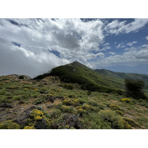 Picture France Corsica Refuge de Callerucciu 2022-06 46 - Sightseeing Refuge de Callerucciu