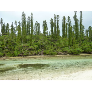 Picture New Caledonia Ile des pins Oro Bay 2010-05 53 - Trail Oro Bay