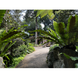 Picture Singapore Singapore Botanic Gardens 2023-01 78 - Road Singapore Botanic Gardens