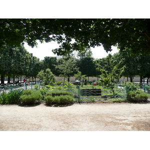 Picture France Paris Garden of Tuileries 2007-05 362 - Tourist Attraction Garden of Tuileries