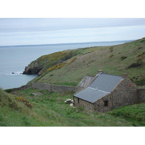 Picture United Kingdom Pembrokeshire Martins Havens 2006-05 24 - Sightseeing Martins Havens