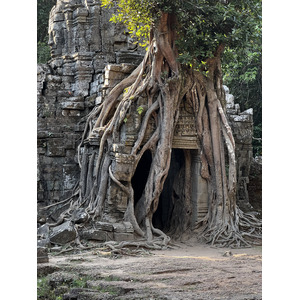 Picture Cambodia Siem Reap Ta Som 2023-01 14 - Trips Ta Som