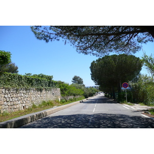 Picture France French Riviera Hyeres peninsula 2008-05 22 - Photographers Hyeres peninsula