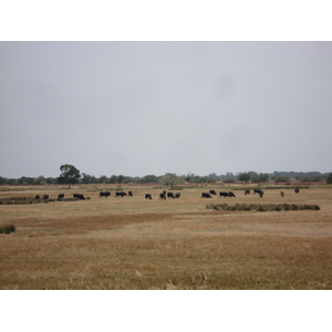 Picture France Camargue 2006-06 4 - Tourist Places Camargue