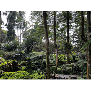 Picture Singapore Singapore Botanic Gardens 2023-01 39 - Trips Singapore Botanic Gardens