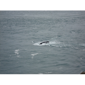 Picture United Kingdom Pembrokeshire Martins Havens 2006-05 20 - Sight Martins Havens