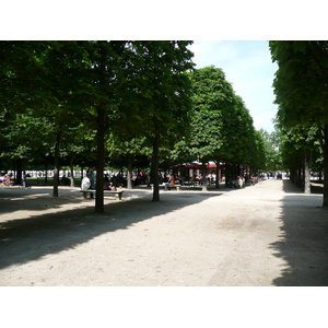 Picture France Paris Garden of Tuileries 2007-05 354 - Photographers Garden of Tuileries