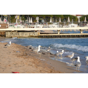 Picture France Cannes Beach 2008-04 53 - Pictures Beach