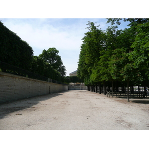 Picture France Paris Garden of Tuileries 2007-05 318 - Photographers Garden of Tuileries