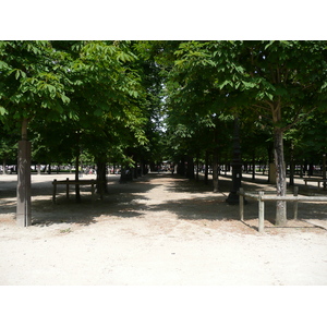 Picture France Paris Garden of Tuileries 2007-05 336 - Pictures Garden of Tuileries