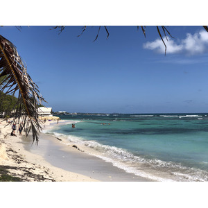 Picture Guadeloupe Saint Francois 2021-02 13 - Photographer Saint Francois