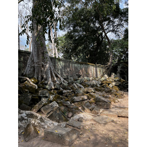 Picture Cambodia Siem Reap Ta Prohm 2023-01 1 - Discover Ta Prohm