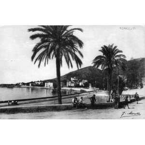 Picture France Corsica Old Postcards 1900-01 307 - Randonee Old Postcards