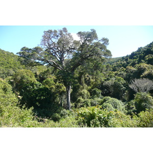 Picture South Africa Nature's Valley 2008-09 11 - Discover Nature's Valley