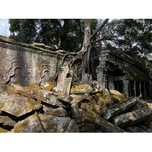 Picture Cambodia Siem Reap Ta Prohm 2023-01 137 - Journey Ta Prohm