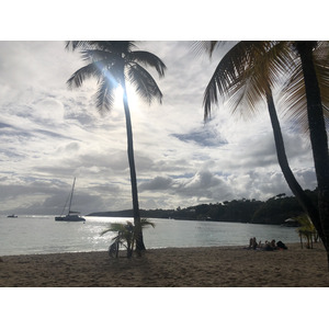 Picture Guadeloupe La Caravelle Beach 2021-02 119 - Sight La Caravelle Beach