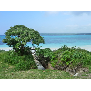 Picture New Caledonia Lifou Luecila 2010-05 50 - Road Luecila