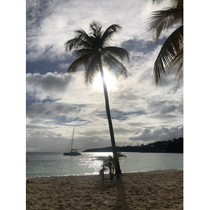 Picture Guadeloupe La Caravelle Beach 2021-02 102 - Sightseeing La Caravelle Beach