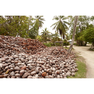 Picture Seychelles La Digue 2011-10 182 - Store La Digue