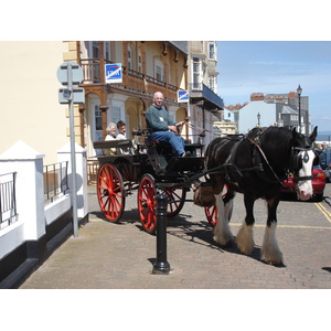 Picture United Kingdom Pembrokeshire Tenby 2006-05 27 - Flights Tenby