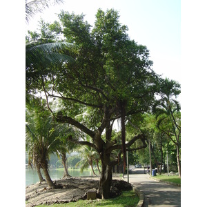 Picture Thailand Bangkok Lumpini Park 2005-12 9 - Trips Lumpini Park