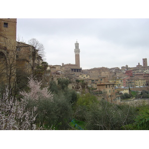 Picture Italy Siena 2004-03 4 - Pictures Siena