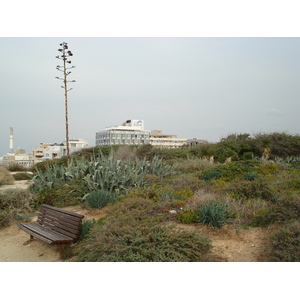 Picture Israel Tel Aviv Tel Aviv Sea Shore 2006-12 100 - Road Map Tel Aviv Sea Shore