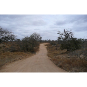 Picture South Africa Kruger National Park 2008-09 121 - Photographers Kruger National Park