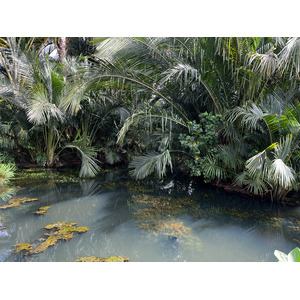 Picture Singapore Singapore Botanic Gardens 2023-01 99 - Map Singapore Botanic Gardens