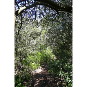 Picture France Porquerolles Island Pointe du Lequin 2008-05 45 - Travels Pointe du Lequin