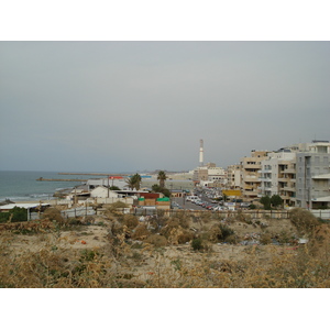 Picture Israel Tel Aviv Tel Aviv Sea Shore 2006-12 161 - Photos Tel Aviv Sea Shore