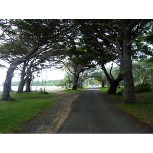 Picture New Caledonia Ile des pins Kuto Beach 2010-05 47 - Trail Kuto Beach