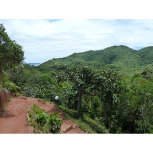 Picture Seychelles Vallee de Mai 2011-10 80 - Discover Vallee de Mai