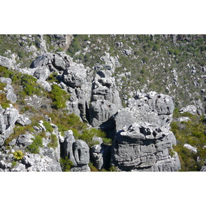 Picture South Africa Cape Town Table Mountain 2008-09 37 - Pictures Table Mountain