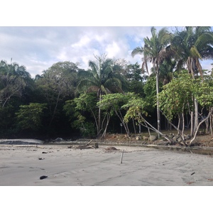 Picture Costa Rica Manuel Antonio 2015-03 94 - Photo Manuel Antonio