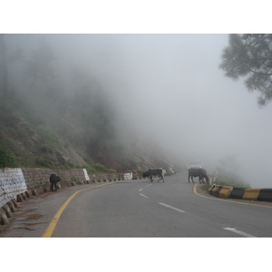 Picture Pakistan Murree 2006-08 162 - View Murree