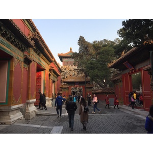 Picture China Beijing Forbidden City 2015-12 178 - Picture Forbidden City